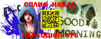 гашик Бузулук