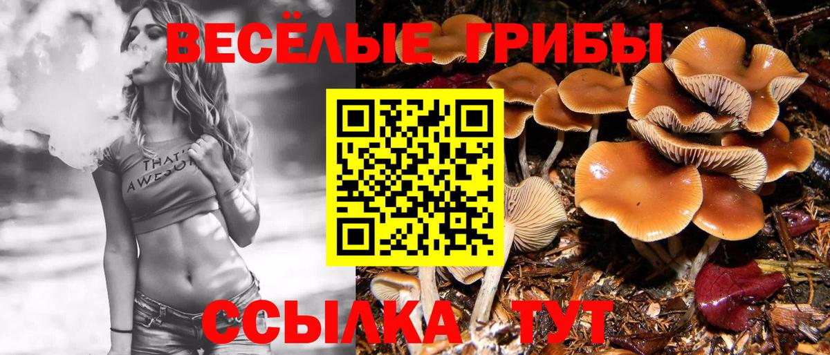 Лысьва  Галлюциногенные грибы MAGIC MUSHROOMS  Галлюциногенные грибы мухоморы  Вход с VPN 